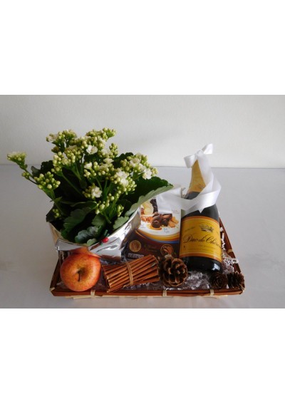 Geschenkmand met chocolade en groene planten