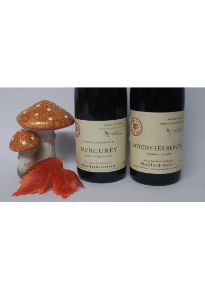 Doos met 2 Bougogne flessen: (2) - Mercurey 2011 - Savigny-Les-Beaune 2003