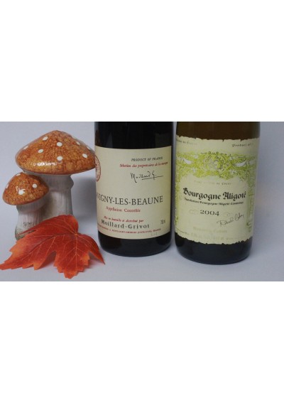 coffret cadeau - Savigny-Les-Beaune 2003 -Bourgogne Alligoté blanc 2004