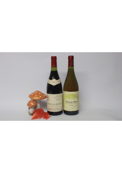 coffret cadeau - Savigny-Les-Beaune 2003 -Bourgogne Alligoté blanc 2004