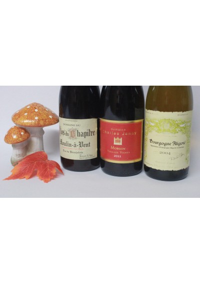 Geschenkdoos met 3 flessen: - Moulin à Vent 2007 - Morgon 2011 - Bourgogne blanc Aligoté 2004