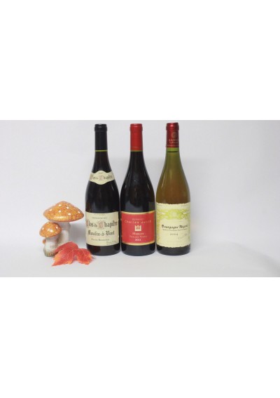 Geschenkdoos met 3 flessen: - Moulin à Vent 2007 - Morgon 2011 - Bourgogne blanc Aligoté 2004