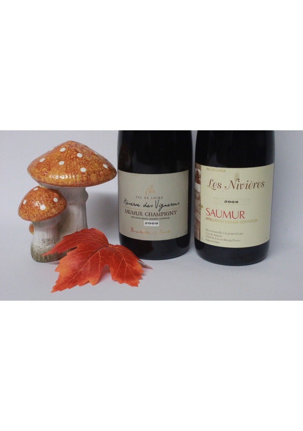 Prestige doos met 2 flessen Saumur Champigny 2009 - Saumur 2009