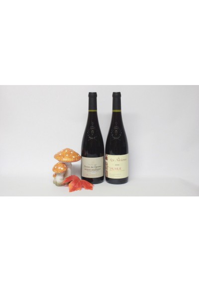 Prestige doos met 2 flessen Saumur Champigny 2009 - Saumur 2009