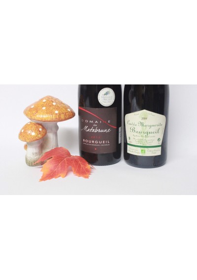 Doos met 2 flessen rode wijn : 1 Cuvée Marguerite Bourgueil 2009 - 1 Domaine De Matabrune 2013