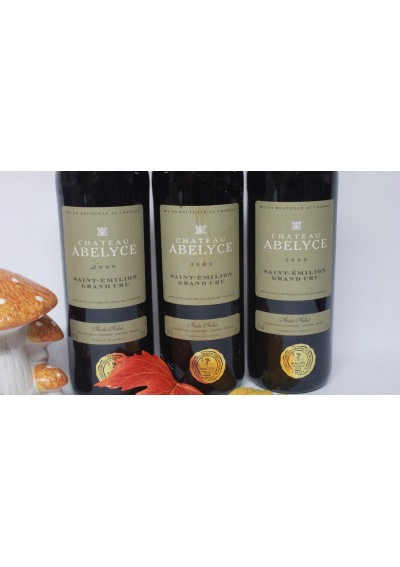 (3) geschenkdoos - 2009 - Saint-Emilion Grand Cru - Château Abelyce