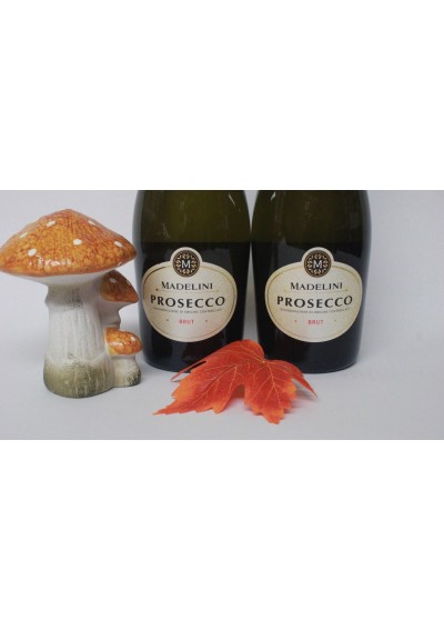 Geschenkdoos met 2 flessen Prosecco Brut