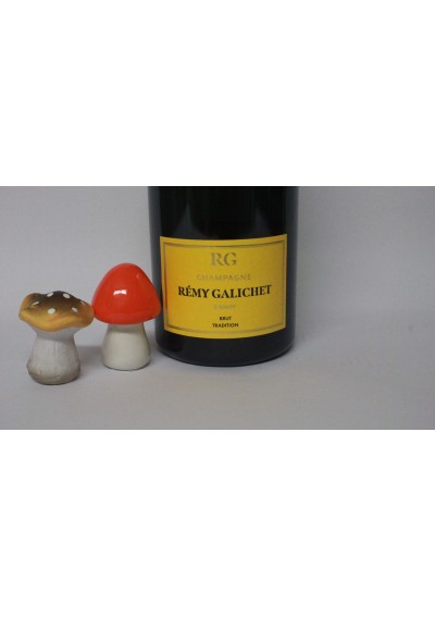 Magnum - Champagne Remy Galichet Brut - (150cl)